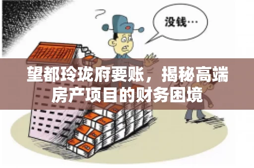 望都玲珑府要账，揭秘高端房产项目的财务困境