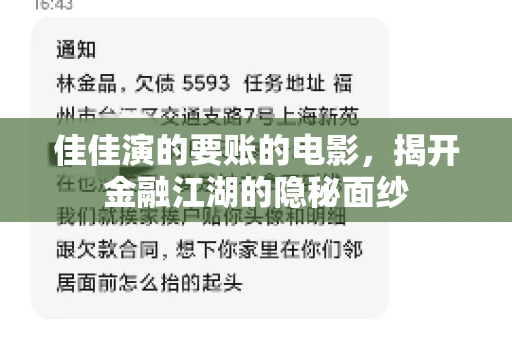 佳佳演的要账的电影，揭开金融江湖的隐秘面纱