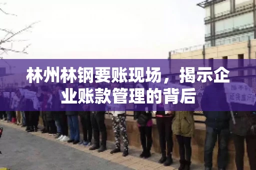 林州林钢要账现场，揭示企业账款管理的背后