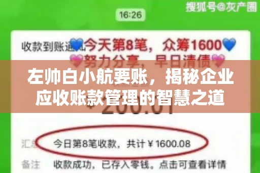 左帅白小航要账，揭秘企业应收账款管理的智慧之道
