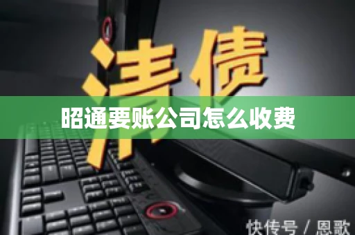 昭通要账公司怎么收费