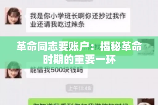 革命同志要账户：揭秘革命时期的重要一环
